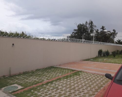 Lord Telas Concertinas