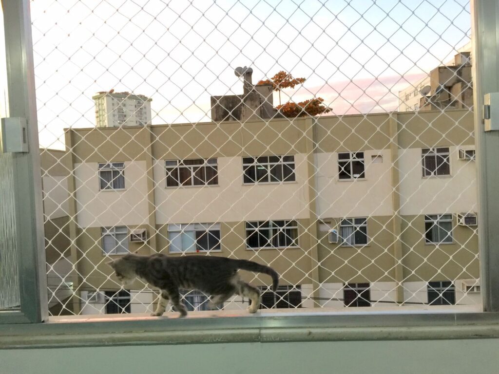 3569e45b-427e-4b9e-bfc3-afdb0e940fa2