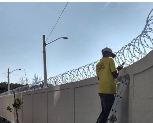 Lord Telas Concertinas