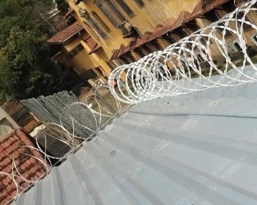 Lord Telas Concertinas