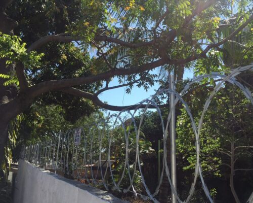 Lord Telas Concertinas