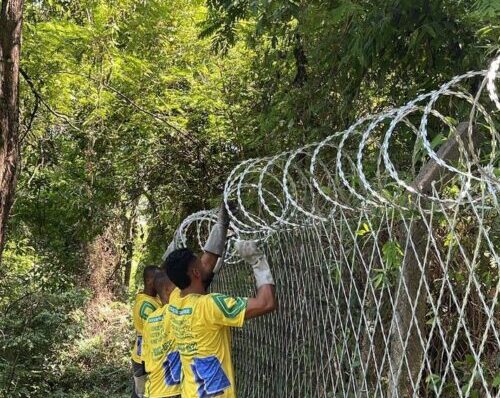 Lord Telas Concertinas