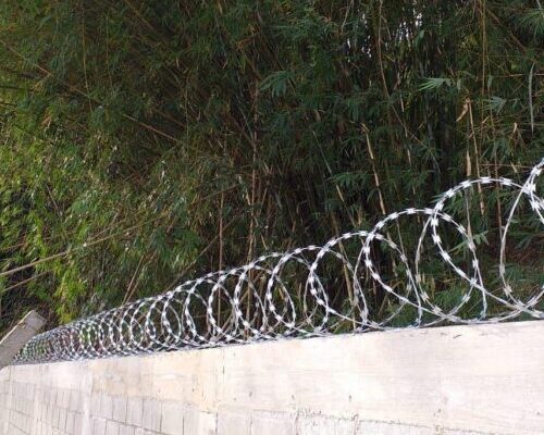 Lord Telas Concertinas